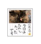 ハナ先輩大集合②（個別スタンプ：9）