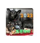 台湾犬たちの台湾華語（個別スタンプ：2）