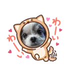coco＆nuts2（個別スタンプ：1）