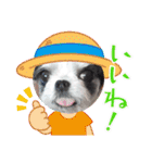 coco＆nuts2（個別スタンプ：2）