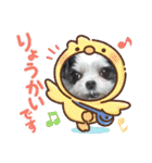 coco＆nuts2（個別スタンプ：4）