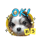 coco＆nuts2（個別スタンプ：7）