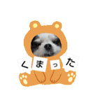 coco＆nuts2（個別スタンプ：9）