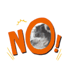coco＆nuts2（個別スタンプ：11）