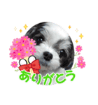 coco＆nuts2（個別スタンプ：14）