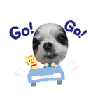coco＆nuts2（個別スタンプ：16）