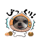 coco＆nuts2（個別スタンプ：19）