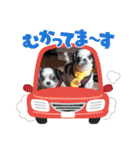 coco＆nuts2（個別スタンプ：21）