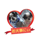 coco＆nuts2（個別スタンプ：22）