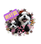coco＆nuts2（個別スタンプ：24）