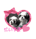 coco＆nuts2（個別スタンプ：29）