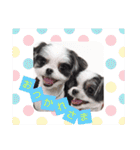 coco＆nuts2（個別スタンプ：30）