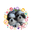 coco＆nuts2（個別スタンプ：31）