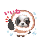 coco＆nuts2（個別スタンプ：35）