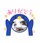 coco＆nuts2（個別スタンプ：36）