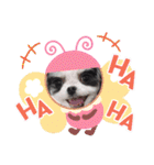coco＆nuts2（個別スタンプ：38）
