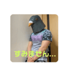 鳩人間の日常会話(インドアver)（個別スタンプ：4）