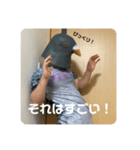 鳩人間の日常会話(インドアver)（個別スタンプ：11）