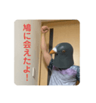 鳩人間の日常会話(インドアver)（個別スタンプ：12）