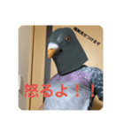 鳩人間の日常会話(インドアver)（個別スタンプ：14）