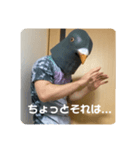 鳩人間の日常会話(インドアver)（個別スタンプ：17）