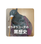 鳩人間の日常会話(インドアver)（個別スタンプ：22）