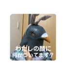 鳩人間の日常会話(インドアver)（個別スタンプ：25）