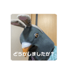 鳩人間の日常会話(インドアver)（個別スタンプ：26）