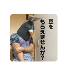 鳩人間の日常会話(インドアver)（個別スタンプ：40）