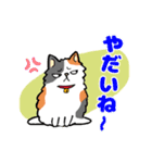 毎日モフねこ4（個別スタンプ：5）