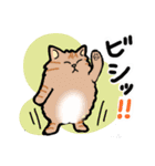 毎日モフねこ4（個別スタンプ：9）