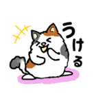 毎日モフねこ4（個別スタンプ：13）