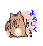 毎日モフねこ4（個別スタンプ：16）