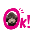 ぎんちゃま‼︎（個別スタンプ：11）