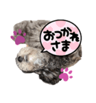 ぎんちゃま‼︎（個別スタンプ：14）