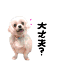 ひめらぶさくら（個別スタンプ：11）