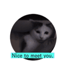 ガッシーねこーずちーず増し増しスタンプ（個別スタンプ：39）