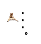 柴犬しか勝たん（どこでも使える日常会話）（個別スタンプ：7）