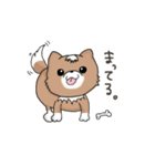 犬の日常的会話（個別スタンプ：40）