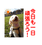 Ashのhappy life①（個別スタンプ：1）