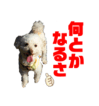Ashのhappy life①（個別スタンプ：2）