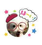 Ashのhappy life①（個別スタンプ：3）