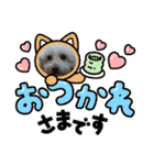 Ashのhappy life①（個別スタンプ：4）