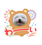 Ashのhappy life①（個別スタンプ：7）