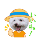 Ashのhappy life①（個別スタンプ：8）