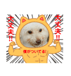 Ashのhappy life①（個別スタンプ：9）