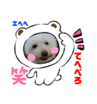 Ashのhappy life①（個別スタンプ：10）