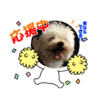 Ashのhappy life①（個別スタンプ：13）