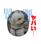 Ashのhappy life①（個別スタンプ：14）
