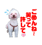 Ashのhappy life①（個別スタンプ：15）